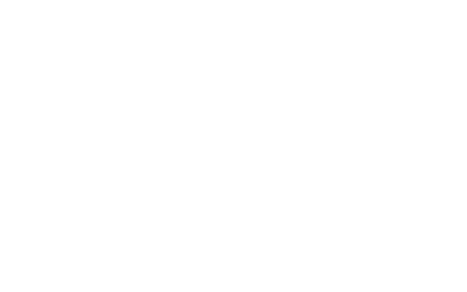 Doctorul Animalelor